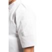 Picture of Whites Vegas Unisex Chef Jacket Short Sleeve White 4XL
