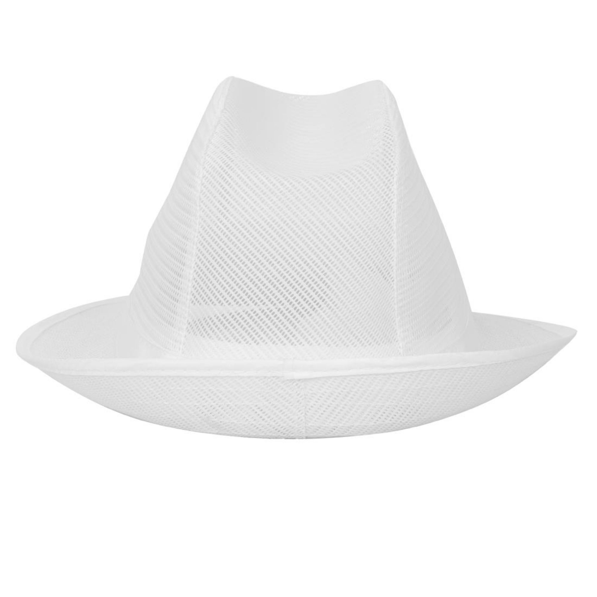 Picture of Trilby Hat with Net Snood White S