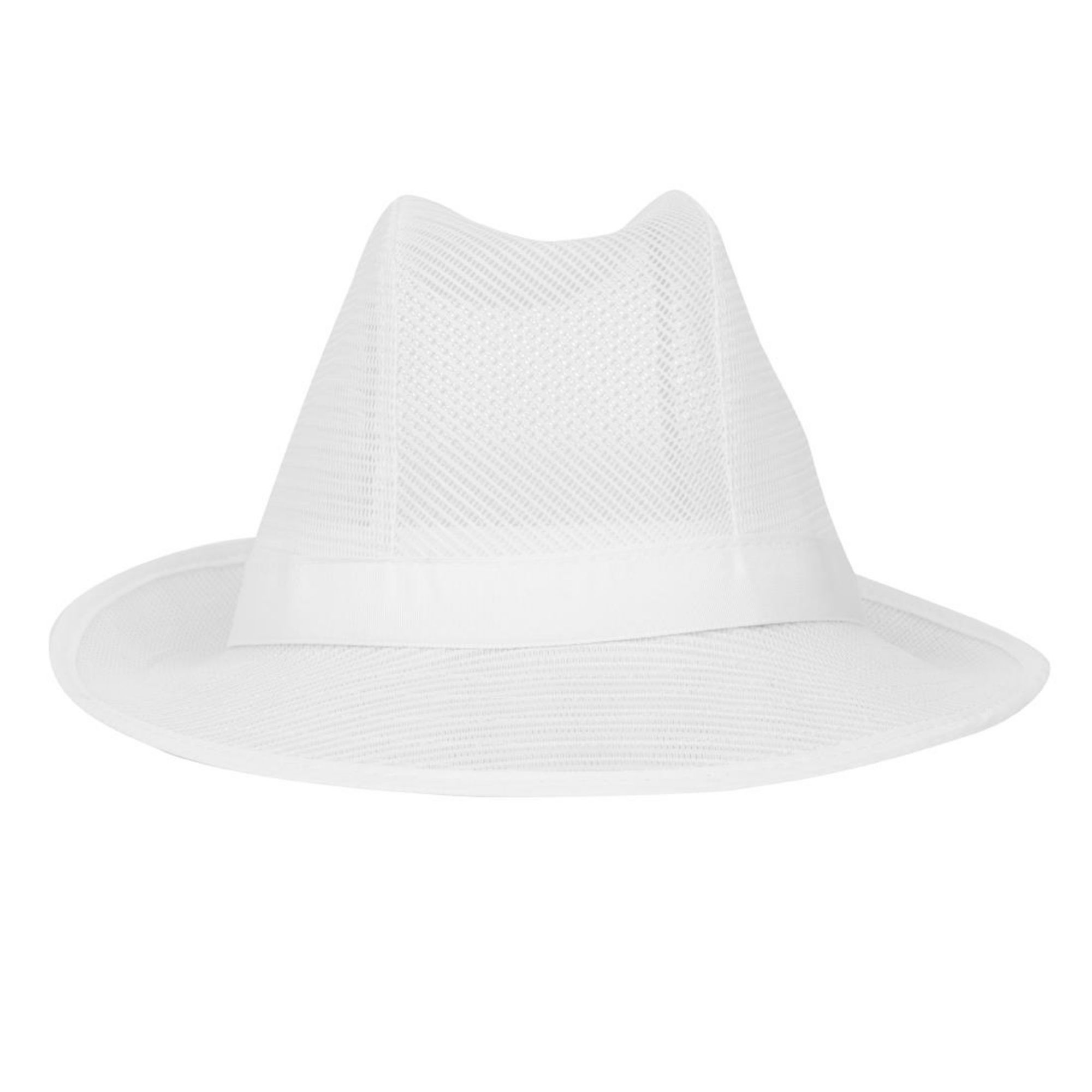 Picture of Trilby Hat with Net Snood White M