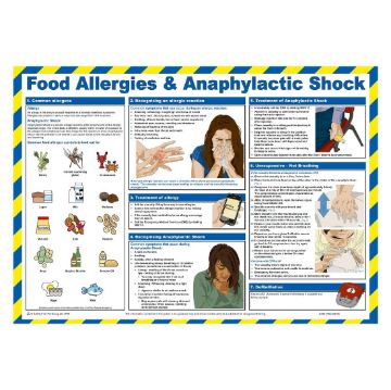 Picture of Mileta Food Allergies & Anaphylactic Shock Poster 590x420mm
