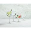 Picture of Royal Leerdam Specials Cocktails Tall Stem Gin Glasses 650ml (6 Pack)
