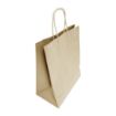 Picture of Fiesta Recyclable Twist Handle Brown Paper Bags Large (250 Pack)