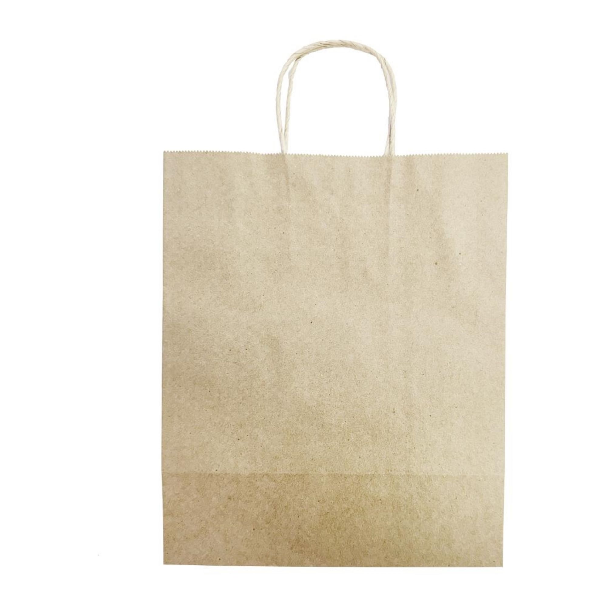 Picture of Fiesta Recyclable Twist Handle Brown Paper Bags Large (250 Pack)