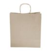 Picture of Fiesta Recyclable Twist Handle Brown Paper Bags Large (250 Pack)