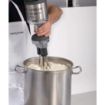 Picture of Robot Coupe Stick Blender MP450 Combi Ultra