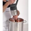 Picture of Robot Coupe Stick Blender MP350 VV Ultra
