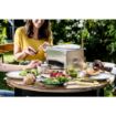 Picture of Louis Tellier Brasero Table Barbecue BRASI-F