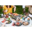 Picture of Louis Tellier Brasero Table Barbecue BRASI-F