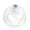 Picture of Utopia Large Glass Cloche