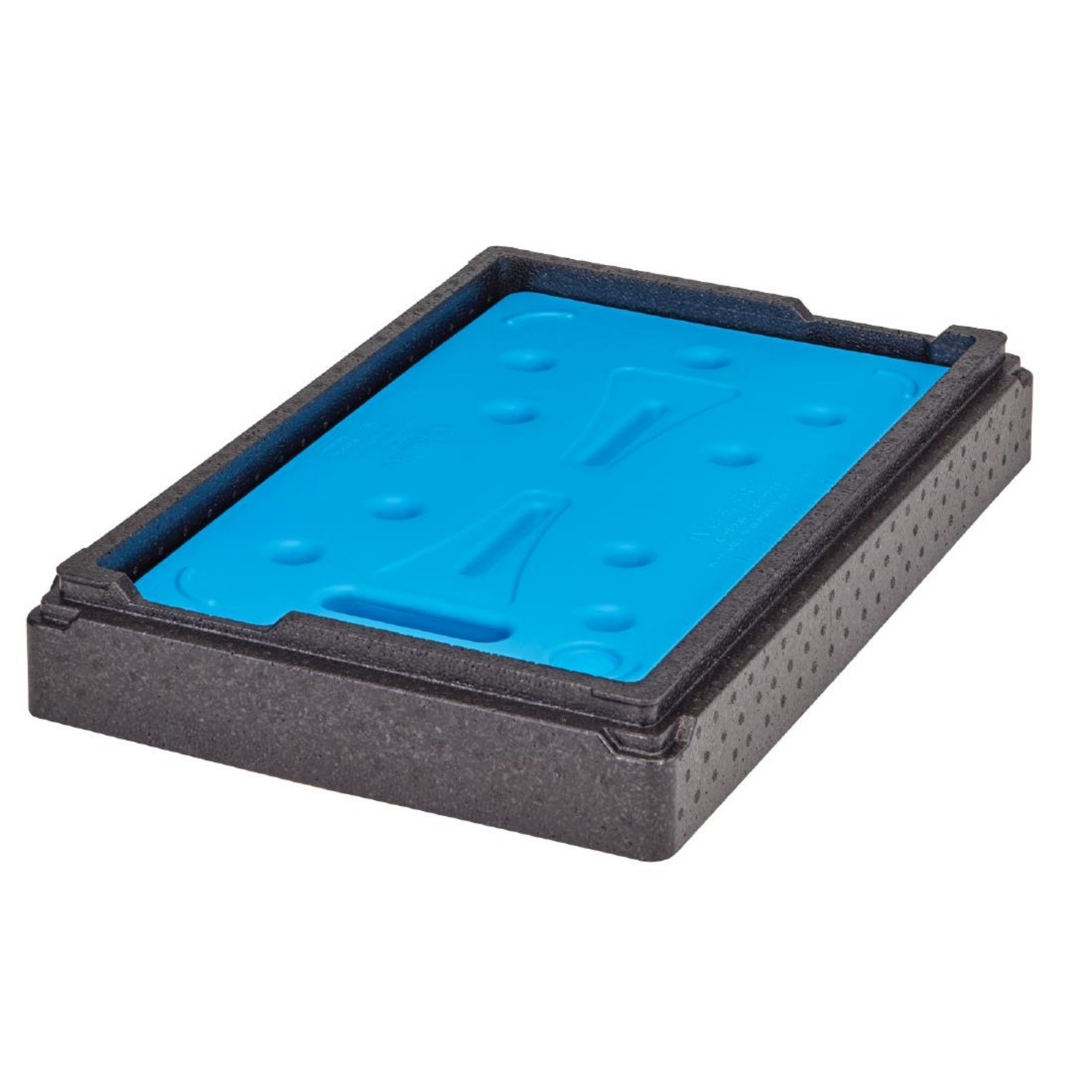 Picture of Cambro Cold Plate Camchiller Insert for Full Size Gastronorm Food Tray Carriers