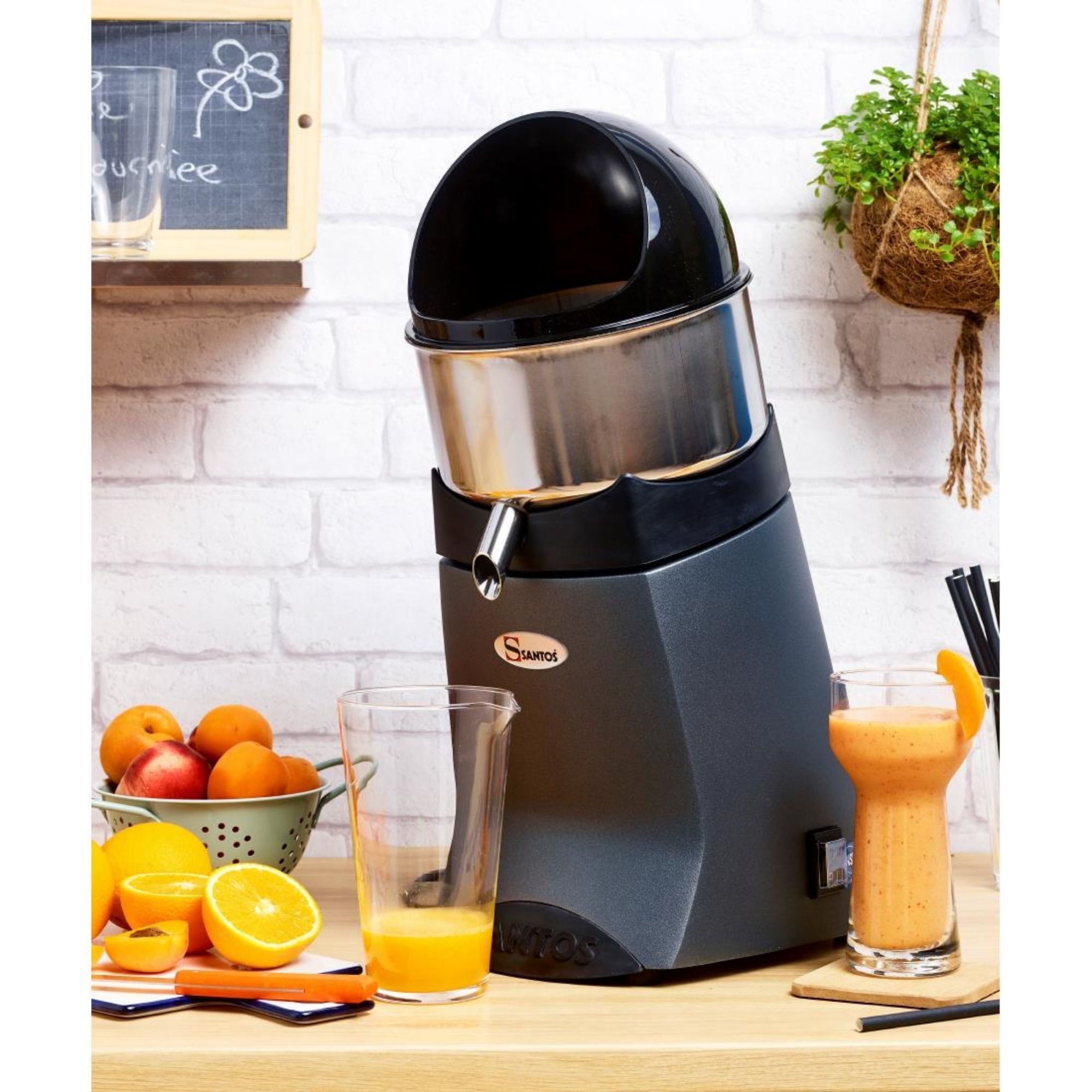 Picture of Santos Citrus Juicer 52 Grey