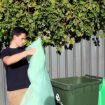 Picture of Compostable Biobag Green 240 Litre 44"x55"