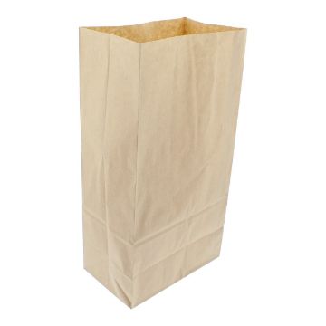 Picture of Brown Kraft Sos Bag  10"x16"x17"