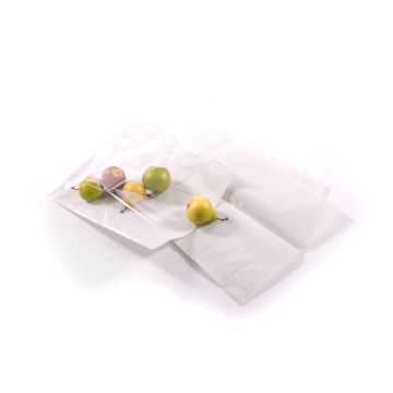 Picture of Film Front Bag White 8.5" X 8.5"