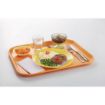 Picture of Arcoroc Brush Plates Yellow 235mm (24 Pack)