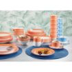 Picture of Arcoroc Brush Plates Orange 252mm (12 Pack)