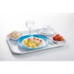 Picture of Arcoroc Brush Plates Blue 235mm (24 Pack)