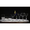 Picture of Onis New Era Cocktail Glasses 220ml/7.75oz (6 Pack)