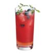 Picture of Arcoroc Islande Hi Ball Tumblers 460ml (12 Pack)