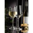 Picture of Utopia Summit Champagne Flutes 210ml (24 Pack)
