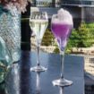 Picture of Chef and Sommelier Symetrie Champagne Flutes 160ml (24 Pack)