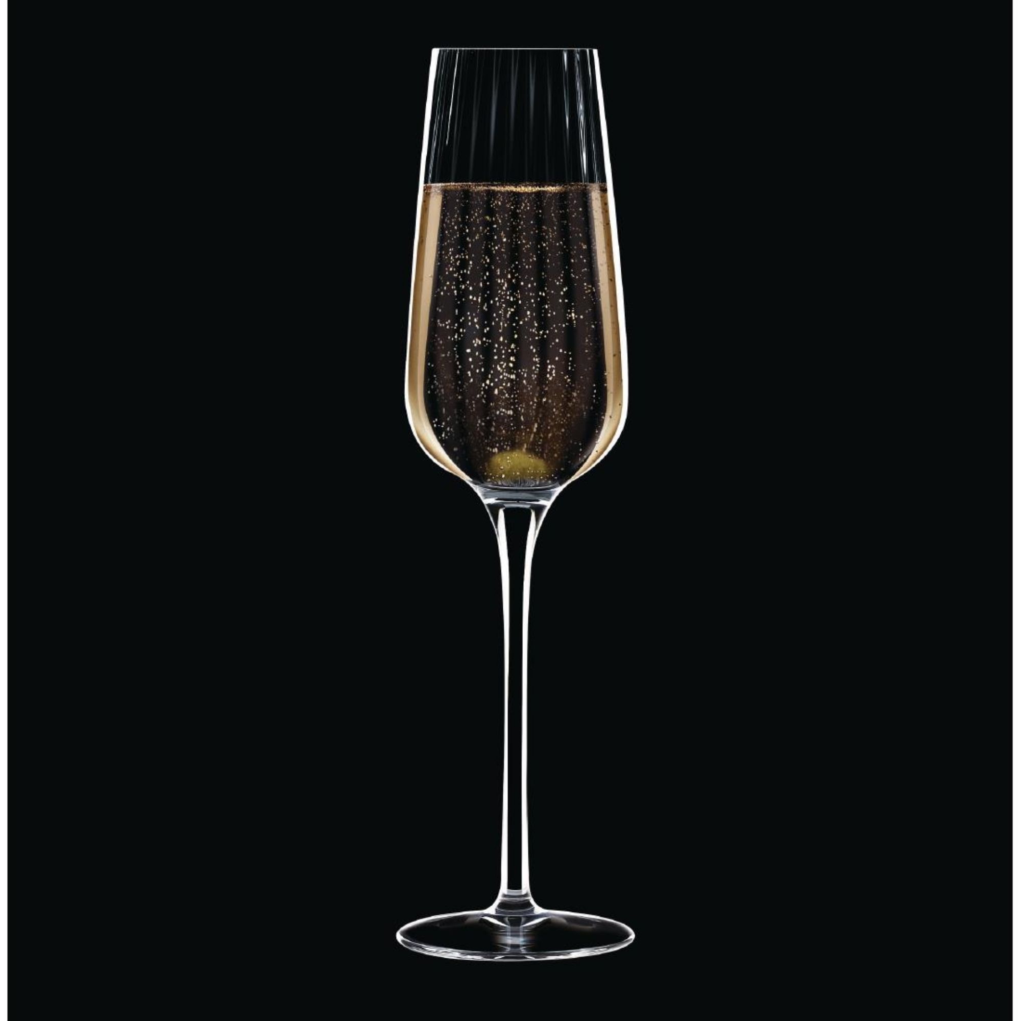 Picture of Chef and Sommelier Symetrie Champagne Flutes 210ml (24 Pack)