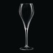 Picture of Chef and Sommelier Symetrie Champagne Flutes 160ml (24 Pack)