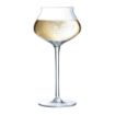 Picture of Arcoroc Macaron Fascination Champagne Flutes 300ml (24 Pack)