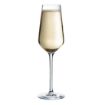 Picture of Arcoroc Distinction Champagne Flutes 230ml (24 Pack)