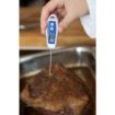 Picture of Waterproof Pocket Sized Thermometer