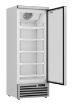Picture of CombiSteel Glass Door Display Freezer JDE-600F