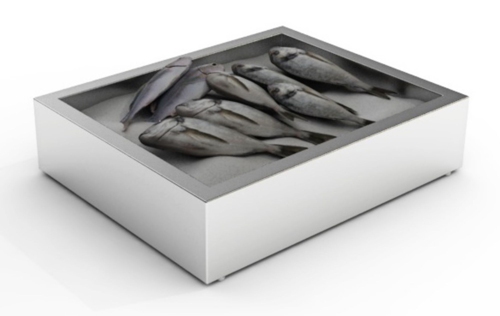 Picture of CombiSteel Crushed Ice Bin 2/1 Gastronorm