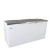 Picture of Interlevin LHF620SS (ECO DESIGN) Solid Lid Chest Freezer