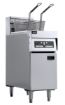 Picture of ELECTRIC FRYER 2X 12,5L