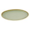Picture of Olympia Kiln Round Coupe Plate Moss 230mm (6 Pack)