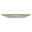 Picture of Olympia Kiln Round Coupe Plate Moss 230mm (6 Pack)