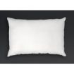 Picture of Mitre Essentials Palace Value Pillow
