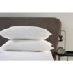 Picture of Mitre Essentials Palace Value Pillow