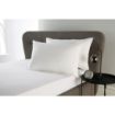 Picture of Mitre Essentials Palace Value Pillow