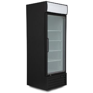 Picture of BLIZZARD 514L Single Hinged Glass Door Freezer Display Merchandiser GDF600