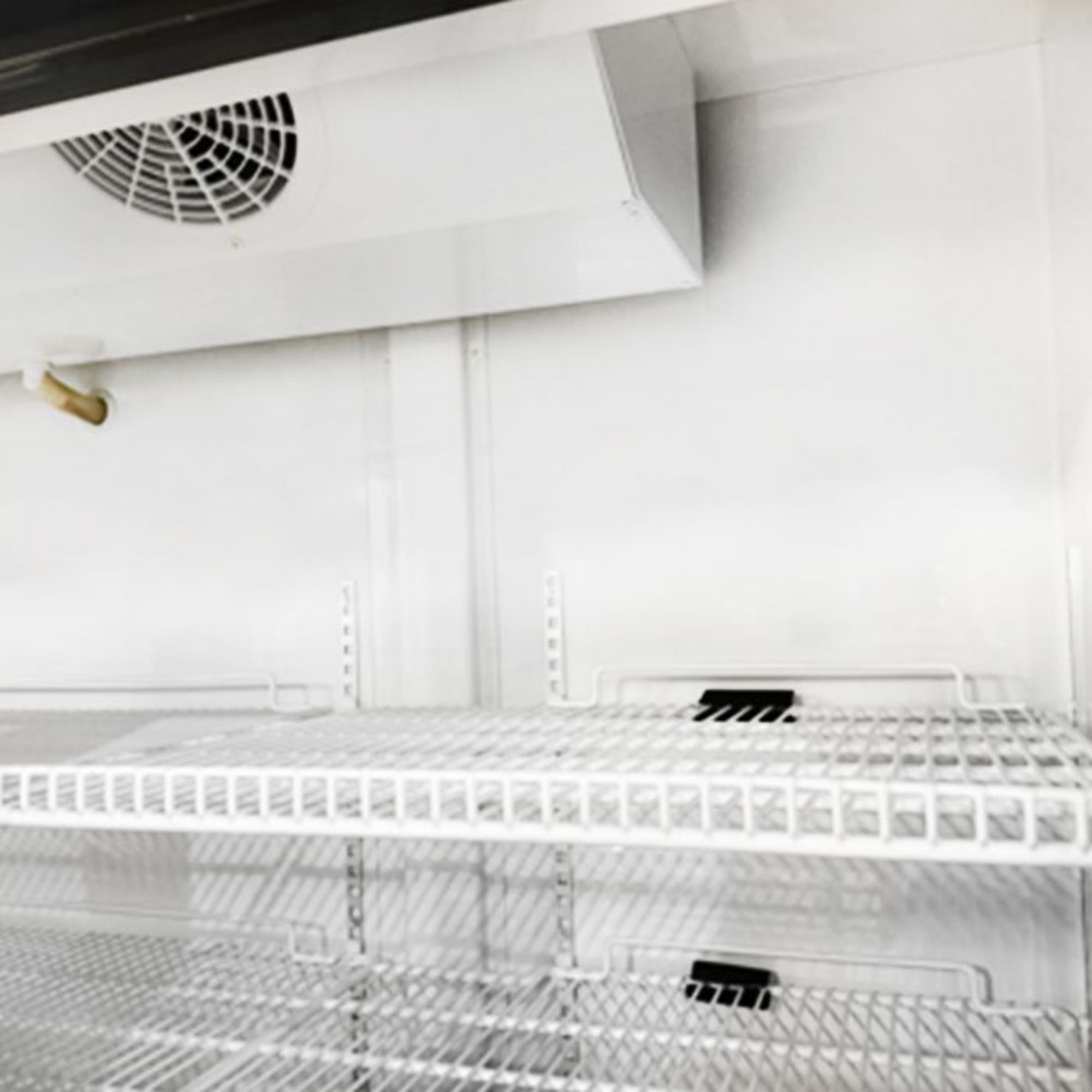 Picture of BLIZZARD 514L Single Hinged Glass Door Freezer Display Merchandiser GDF600