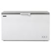 Picture of BLIZZARD 550L Stainless Steel Lid Chest Freezer CF550SS