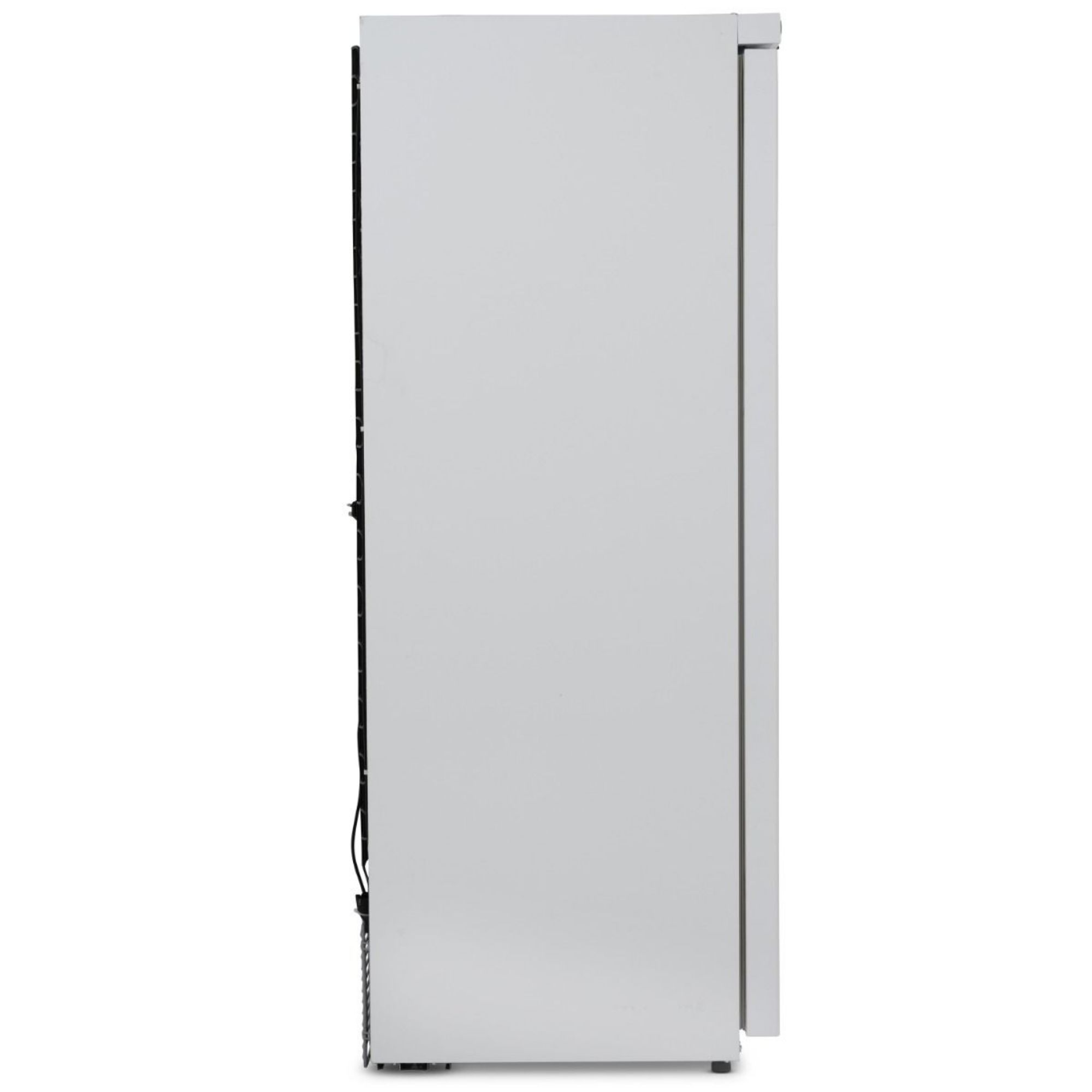 Picture of BLIZZARD Blizzard Upright 533L Single Hinged Door Freezer White LW60