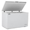 Picture of BLIZZARD Blizzard 450L Stainless Steel Lid Chest Freezer CF450SS