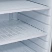 Picture of BLIZZARD Upright 533L Single Door Freezer Stainless Steel LS60