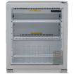 Picture of BLIZZARD Glass Door Counter Top Freezer CTF99