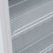 Picture of BLIZZARD Glass Door Counter Top Freezer CTF99