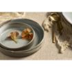 Picture of Robert Gordon Forager Stackable Bowls 210mm Dia 762ml (12 Pack)(Direct Pack)