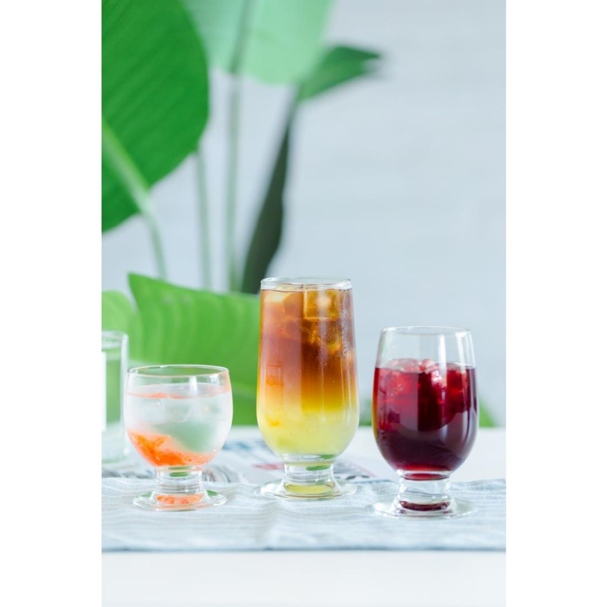 Picture of Sequoia Cooler 337ml (12 Pack)