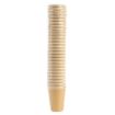 Picture of Fiesta Recyclable Coffee Cups Single Wall Kraft 340ml/12oz (1000 Pack)
